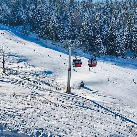 Nature Nest - Boutique - Ravna Planina